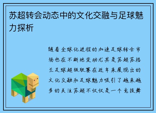 苏超转会动态中的文化交融与足球魅力探析